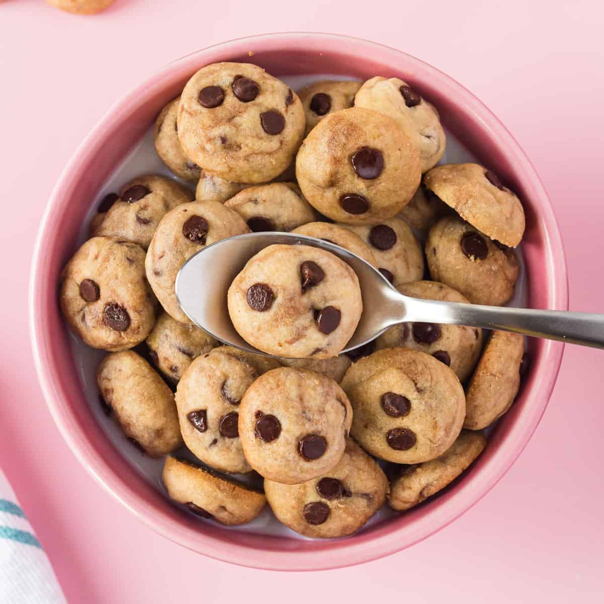 Céréales de biscuits faites maison
